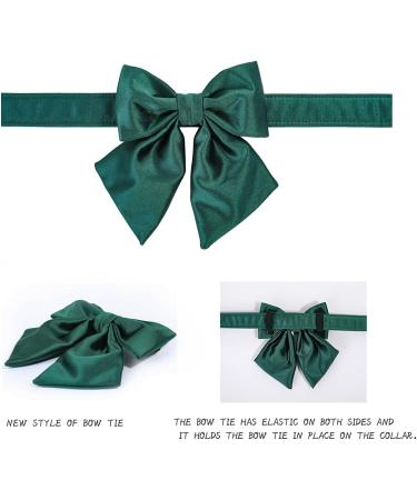 Lionet Paws XL Dog Collar - Comfortable Silk with Removable Fly for XLarge Dogs (Neck 40-66cm) - Green - Buy Online on GoSupps.com