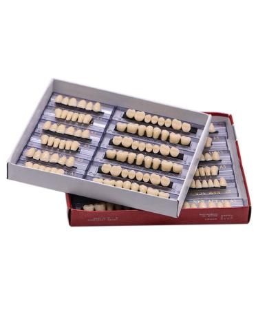 Angzhili Dental Synthetic Acrylic Resin False Teeth Halloween Horror Denture Set A3 (168pcs) - Buy Online on GoSupps.com
