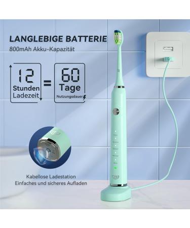 JTF Electric Toothbrush - 6 Brush Heads Travel Case & Wireless Quick Charge | Smart Timer & 5 Modes for Whiter Teeth - Green - Buy Online on GoSupps.com