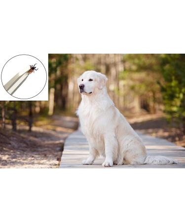 AFTREN Tick Remover Pet Care Tool Set Flea Comb Real Bamboo Contour Grip Handle Dogs Cats Horses 5 Pcs Stainless Steel Fleas Ticks Remover Kit - Buy Online on GoSupps.com