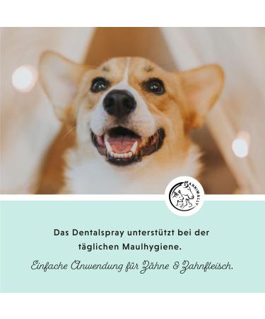 Annimally Dental Spray for Dogs 200ml | Fresh Breath & Tartar Prevention with Peppermint Sage & Propolis - Buy Online on GoSupps.com