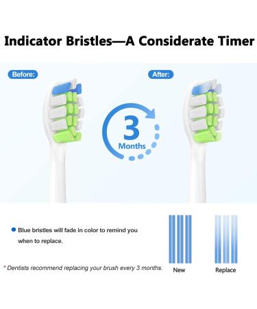 Ruaoqee Electric Toothbrush Replacement Heads - 8 Pack Compatible with Philips Sonicare Snap-on Toothbrushes - Buy Online on GoSupps.com