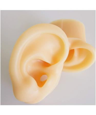Silicone Ear Model for Acupuncture - Life Size Human Ear Model Lifelike Artificial Ear Model for Science Class Teaching Display Studs Earring Display Props