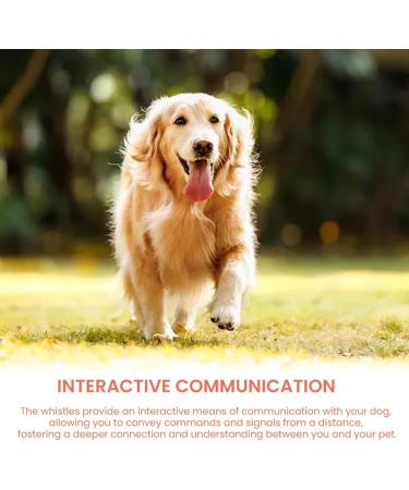 Vigorola 2 pcs Dog Whistle with Lanyard ABS Plastic Dog Training Whistles for for Recall and Pets Training(Orange + Light Green) - Buy Online on GoSupps.com