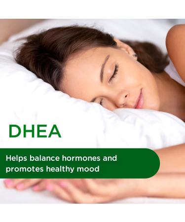 Emerald Labs DHEA 50mg - Cognitive Function & Hormone Support - 60 Capsules - Buy Online on GoSupps.com