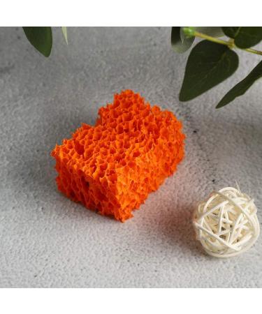 BstXqty Wound Makeup Stipple Sponge Blood Scar Stubble Effect for Halloween Party Stipple Sponge Professional Special for Halloween Beard Freckle Stubble(L) - Buy Online on GoSupps.com