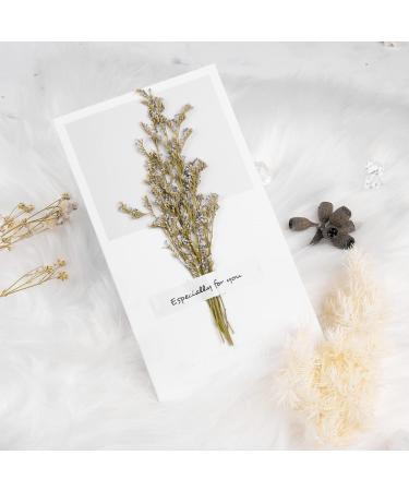 Unique Birthday Gifts for Women - Mom, Sister, Wife, Girlfriend, Friend | Retirement & Teacher Appreciation Gifts - Buy Online on GoSupps.com