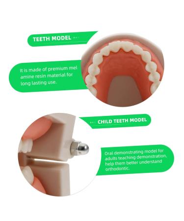 Solustre Removable Tooth Model - Educational Oral Cavity Toy for Kids | Preschool Teaching Model for Dental Awareness - Buy Online on GoSupps.com