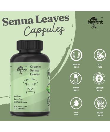 Seena Leaves 500 mg 120 Capsules 120 Count (Pack of 1) - Buy Online on GoSupps.com