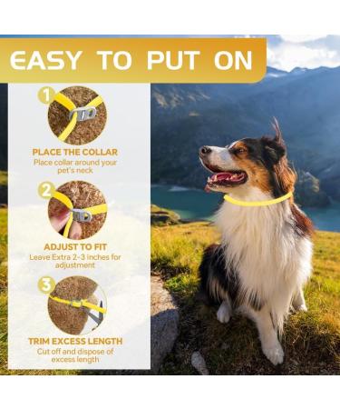 YOTANGO Dog Collar Repellent 2-Pack Dog Collar Repellency Slow Release Pleasant Aroma Waterproof - Yellow - Buy Online on GoSupps.com