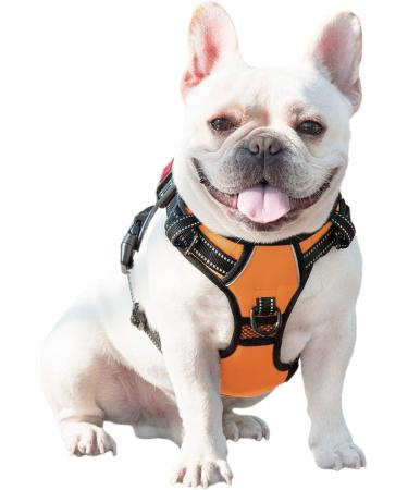 Phoepet Reflective Adjustable Dog Harness - Anti-Educational Training Handle ID Card & XS Size in Orange | 2 Metal Hooks 3 Snap Buckles Easy Fit - Buy Online on GoSupps.com