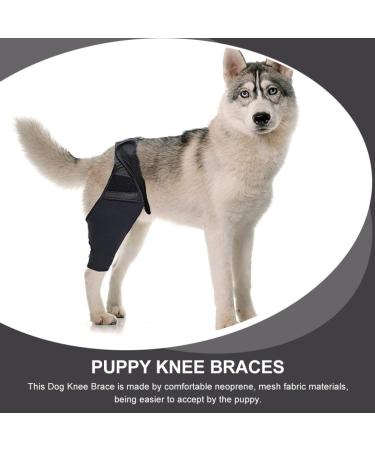 ORFOFE Puppy Knee Leg Supplies Dog Leg Braces for Hindleg Dog Leg Cover Knee for Dogs Dog Knee Cover Dog Injured Knee Dog Foreleg Brace Dog Leg Knee S As Shown - Buy Online on GoSupps.com
