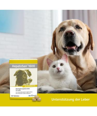 Alfavet Hepatosan 1600 & Canigum Artrin Bundle for Dogs Chronic Liver Support & Joint Health | 120 Tablets Each International Shipping - Buy Online on GoSupps.com
