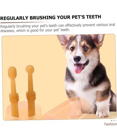 COHEALI 1 Set Single-Head Toothbrush Puppy Toothbrush for Small Dogs Pet Supplies Toothpaste The Cat Suite - Buy Online on GoSupps.com