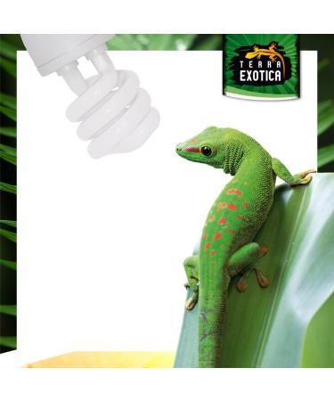 Terra Exotica Jungle 5.0 UVB 13W Full Spectrum Daylight Lamp - Compact Mini Terrarium Light | International Shipping Available - Buy Online on GoSupps.com