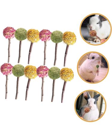 NOLITOY 12pcs Pet Rabbit Snacks Chinchilla Treats Teeth Grinding Sticks Pet Chewing Playthings Animal Petal - Buy Online on GoSupps.com