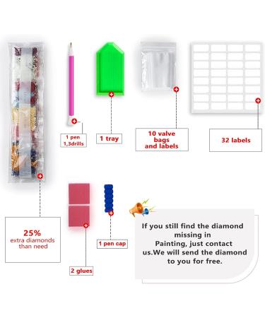 Sonsage Princess and Frog Diamond Painting Kit - Full Round Drills Cross Stitch Crystal Rhinestone Embroidery - 5D Home Wall Decor Gift - 12x16 Inch - Buy Online on GoSupps.com