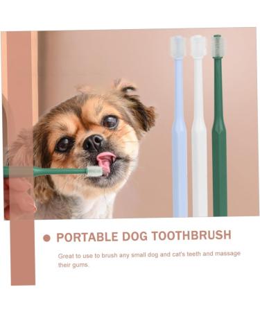 SEWOART 4pcs Toothbrush Plaque off Cats Cat Toothpaste and Brush Kit Kitten Supplies Pet Accessory Plastic - Buy Online on GoSupps.com