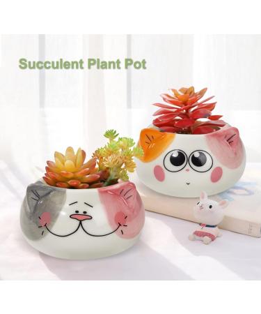 Fragrance Candles Gift Set for Women - 6-Piece Aromatherapy & Cat-Themed Birthday Presents - Buy Online on GoSupps.com