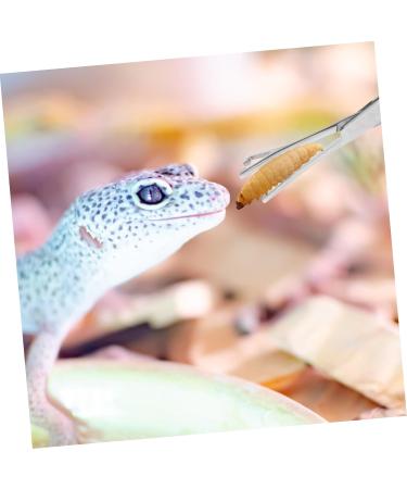 POPETPOP Reptile Feeding Clip Snake Tank Accessories Snake Tong Silver Stainless Steel - Buy Online on GoSupps.com