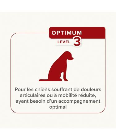 BEAPHAR Flexifit Joint Chews for Dogs Contains vitamins glucosamine essential fatty acids and collagen Provides joint support Highly palatable Level 3 175g - Buy Online on GoSupps.com