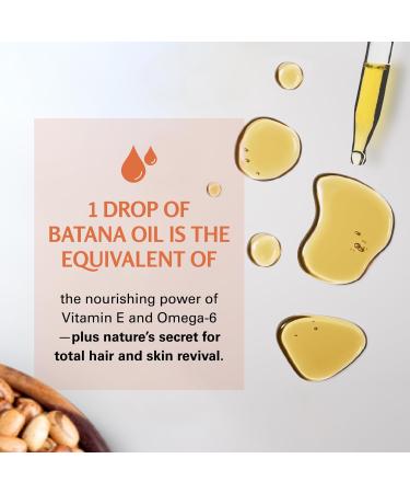 M3 Naturals Vegan Batana Oil | Unrefined Batana Oil for Hair & Skin | Supports Healthy Skin & Collagen Production | 100% Pure Batana & Non-GMO | 2 FL OZ (59 ML) Batana Oil 1 Pack - Buy Online on GoSupps.com