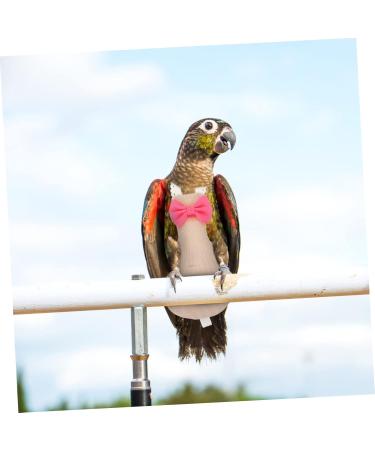 NOLITOY Africa Xuan Washable Reusable Parakeet Feng Birds Flight African Parrot Nappies Bow Bird Breathable 14x7cm - Buy Online on GoSupps.com