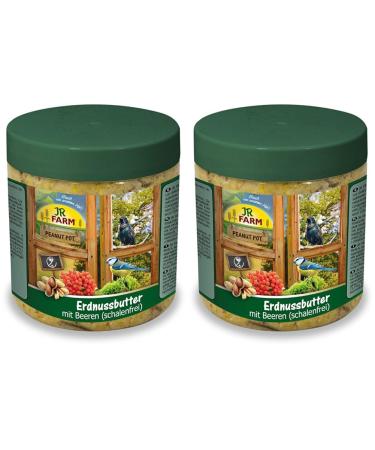 JR FARM Garden PPot Peanut Butter Mealworms 400g (Pack of 2) 400 g (Pack of 2)