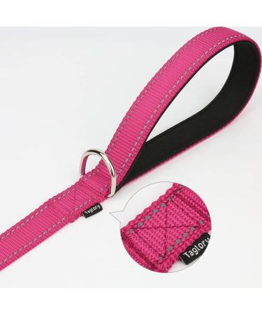 Taglory Heavy-Duty Dog Leash for Medium & Large Dogs | Reflective Padded Handle | Supports 10-75 kg | 1.8m x 2.5cm | Pink - Ideal for Comfortable Walks - Buy Online on GoSupps.com