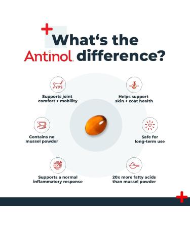 Antinol - Natural Joint Supplement for Adult Cats - Supports Joint Mobility & Skin Health - With Green Lipped Mussels Omega 3 & Vit E - 30 Capsules - Buy Online on GoSupps.com
