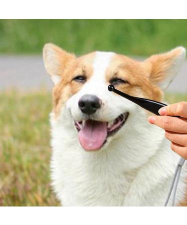 Professional Tear Stain Remover Powder & Applicator Brush for Dogs & Cats | Eye Care Comb for Pet Tear Stains - Buy Online on GoSupps.com