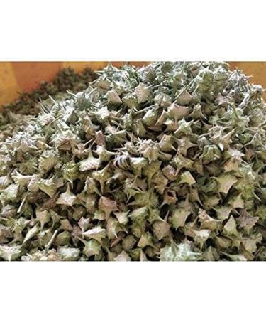 RAW HERB/JADI BOOTI GOKHRU SMALL GOKHARU CHOTA TRIBULUS TERRESTRIS (250GM) - Buy Online on GoSupps.com