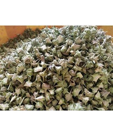 RAW HERB/JADI BOOTI GOKHRU SMALL GOKHARU CHOTA TRIBULUS TERRESTRIS (50GM)