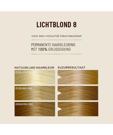  Guhl Guhl Protecture Cream-Hair Color 8 Light Blonde - 2x50 Milliliters - Buy Online on GoSupps.com