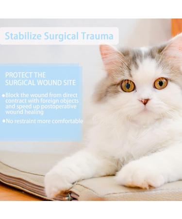 Cat Recovery Suit Cat Surgery Recovery Suit Cat Outfits for Cats Only Cone Collar Alternatives Suit for Cats Weaning Wounds Skin Diseases Cats Anti Licking Pajama Suit(Blue L Size) - Buy Online on GoSupps.com