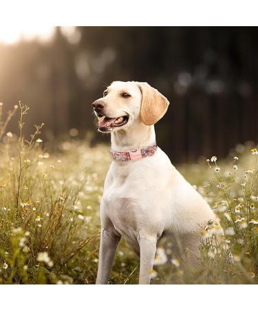 Unique Style Paws Rose Dog Collar - Adjustable Wide Chain for Small Medium & Large Dogs - Perfect Gift! - Buy Online on GoSupps.com
