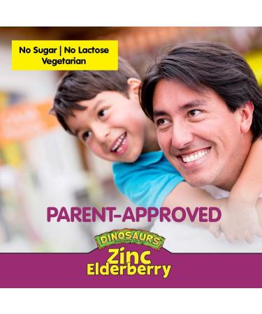 KAL Zinc Elderberry ActivMelt - Mixed Berries, 90 Tablets | Immune Support - Buy Online on GoSupps.com