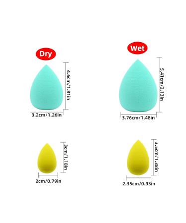 Dolovemk Makeup Sponge Set & Chubby Foundation Brush 5 PCs Latex-Free Beauty Application Tools - Buy Online on GoSupps.com