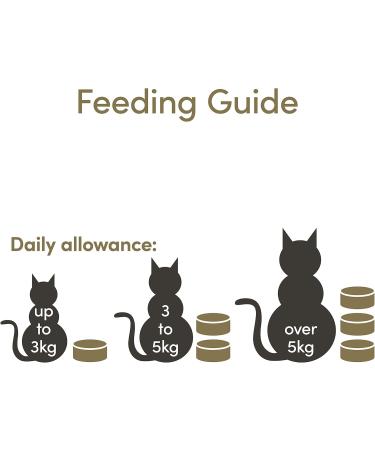 Applaws Premium Natural Cat Food - Fish & Chicken in Broth 12x70g | Healthy Gourmet Meal for Cats - Buy Online on GoSupps.com