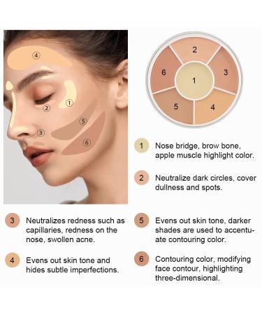 Evpct 6 Colors Corrector Cream Concealer Palette for Mature Skin, Pink under Eye Concealer Kit for Dark Circles and Puffiness - 0.32 Ounce (Pack of 1) - Buy Online on GoSupps.com