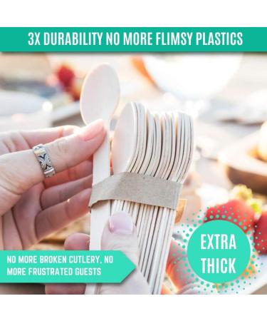 EarthClusive 100% Compostable Wooden Cutlery Set - 300 Pieces | Biodegradable Disposable Utensils for Party, Camping, & More - Buy Online on GoSupps.com