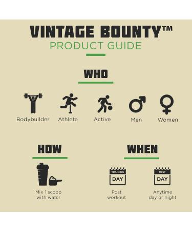 Vintage Bounty Vegan Protein Powder - Plant-Based Post-Workout Recovery Oatmeal Creme Pie Flavor 2 lbs - Pea Brown Rice & Pumpkin Protein - Buy Online on GoSupps.com