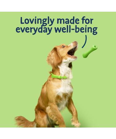 Barking Heads Complete Dry Dog Food 12kg - Adult All Hounder Bowl Lickin' Goodness Lamb - Natural Everyday Immunity & Vitality - Vet Approved Lamb 12 kg (Pack of 1) - Buy Online on GoSupps.com