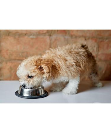 30 x 450g Dog Sausage | Beef Roll | Wet Dog Food | Dog Sausage | Sausage Dog Food with Premium Beef - Buy Online on GoSupps.com