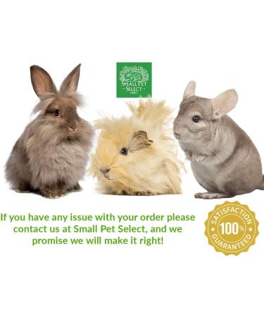 Small Pet Select Aspen Bedding | Safe & Absorbent Bedding for Small Animals - Buy Online on GoSupps.com