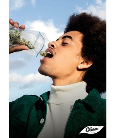 OGeez Chocolate Krunchbox Herbed Chocolate Chip Crisp - Relax It's Just Chocolate 75 Bags 750g - Buy Online on GoSupps.com