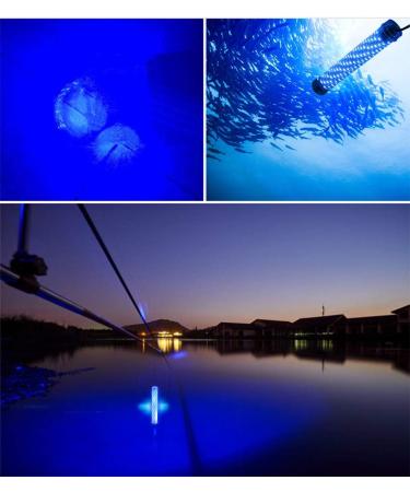 Hanchen 12V 30W LED Underwater Fishing Light for Night Fishing - 3000LM Waterproof IP68 Boat Light for Fresh & Saltwater - Blue Crappie Light - Buy Online on GoSupps.com