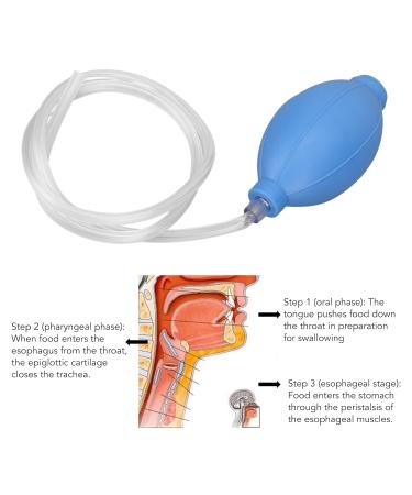 Swallow Oral Muscle Training Tool | Professional Silicone Dysphagia Trainer for Men & Women - Improve Swallowing & Tongue Strength - Buy Online on GoSupps.com