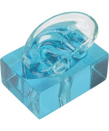 Acrylic Blue Transparent Right Ear Display Model - Waterproof Fake Ear for Sound Aids - Buy Online on GoSupps.com