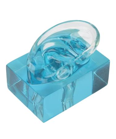 Right Ear Display Right Ear Display Waterproof Fake Ear Model Displays Model Fake Ear For Earwax Removal Model Acrylic Blue Transparent